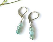 Load image into Gallery viewer, Small Dangle Earrings with Agate
